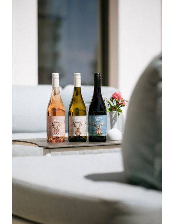 6er Probierpaket Hase By Gillot