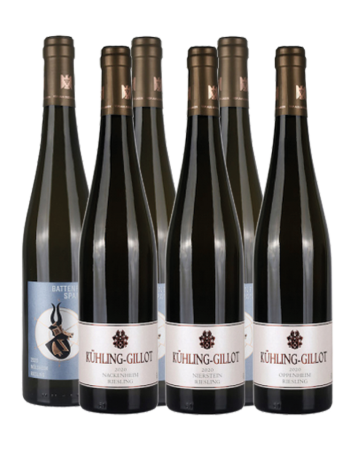 Probierpaket Rieslinge Rheinterrasse & Zellertal